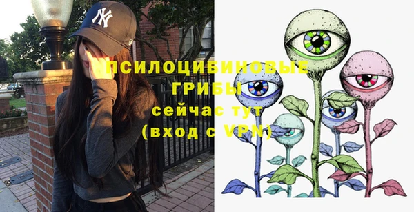 дмт Арсеньев