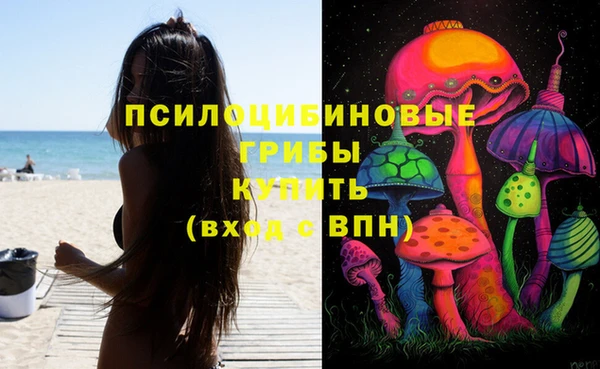 дмт Арсеньев