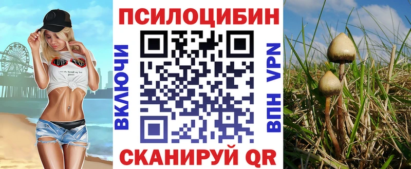 Псилоцибиновые грибы мицелий Тайшет