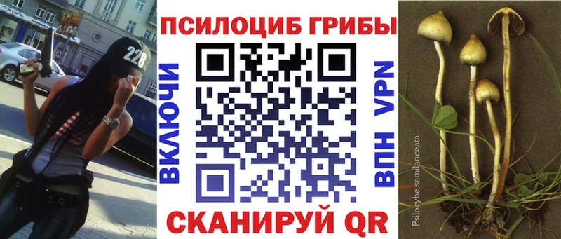 закладки  Тайшет  Псилоцибиновые грибы мухоморы 