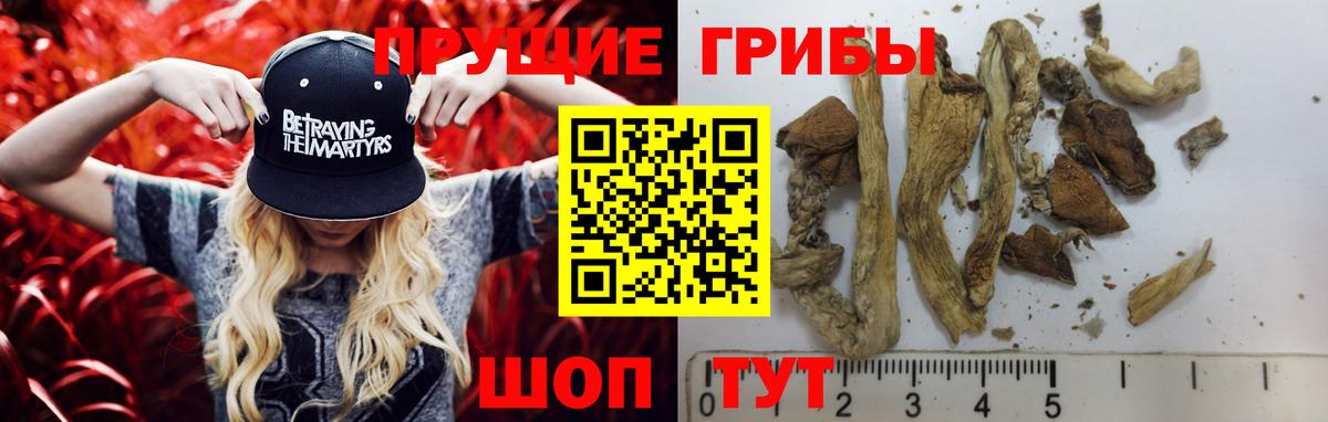 Тайшет  Галлюциногенные грибы ЛСД  Вход с VPN 